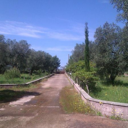 Villa Rustica Nardò Dış mekan fotoğraf